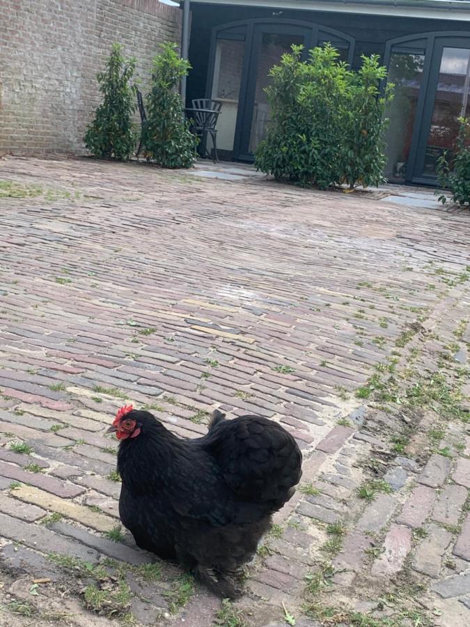 Het Dijkje Utrecht公寓 外观 照片